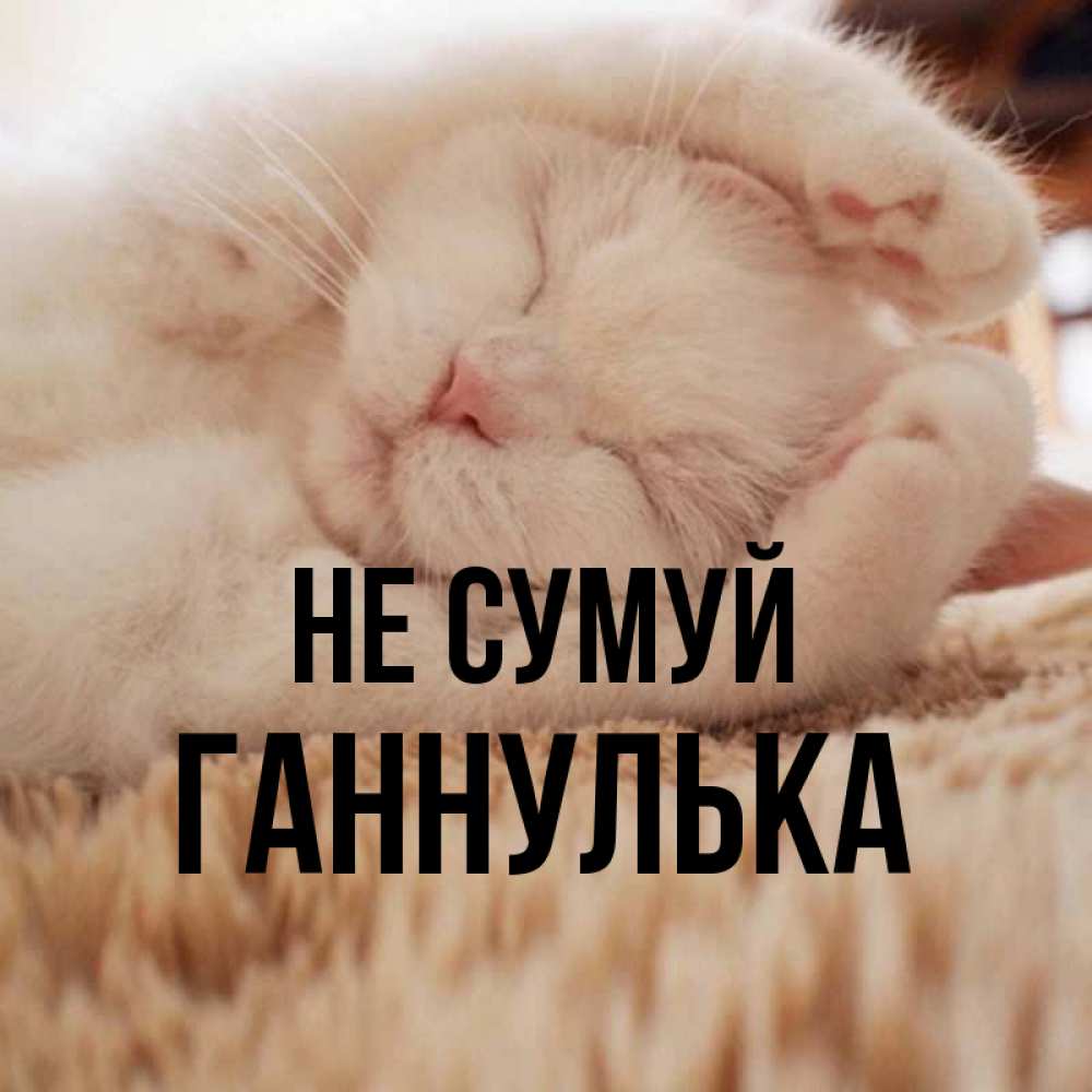 Открытка на каждый день з підписом, Ганнулька Не сумуй Котенок спит Прикольна листівка з побажанням онлайн скачати безкоштовно 