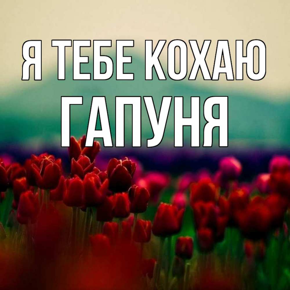 Открытка на каждый день з підписом, Гапуня Я тебе кохаю тюльпаны 4 Прикольна листівка з побажанням онлайн скачати безкоштовно 