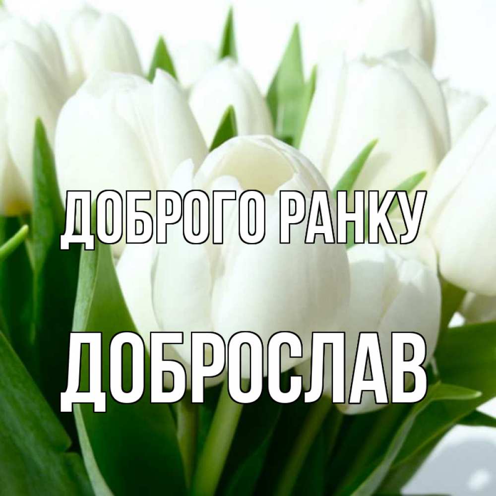 Открытка на каждый день з підписом, Доброслав Доброго ранку открытки на каждый день по именам Прикольна листівка з побажанням онлайн скачати безкоштовно 