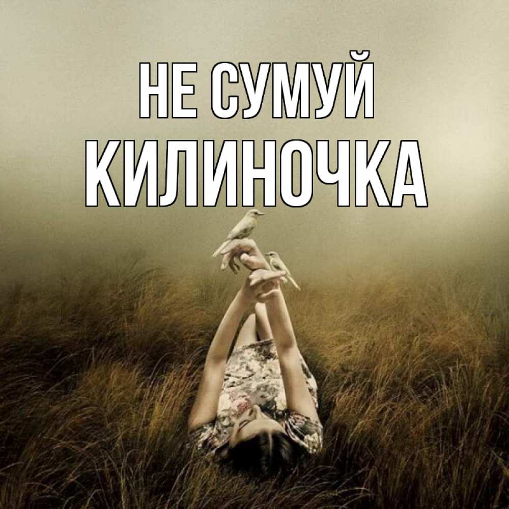 Открытка на каждый день з підписом, Килиночка Не сумуй поле и туман Прикольна листівка з побажанням онлайн скачати безкоштовно 
