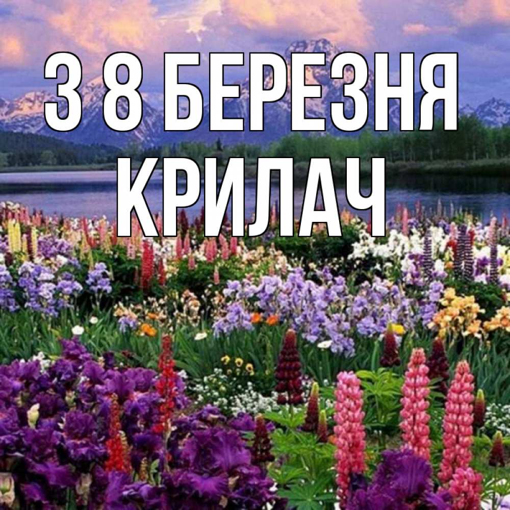 Открытка на каждый день з підписом, Крилач З 8 БЕРЕЗНЯ международный женский день Прикольна листівка з побажанням онлайн скачати безкоштовно 