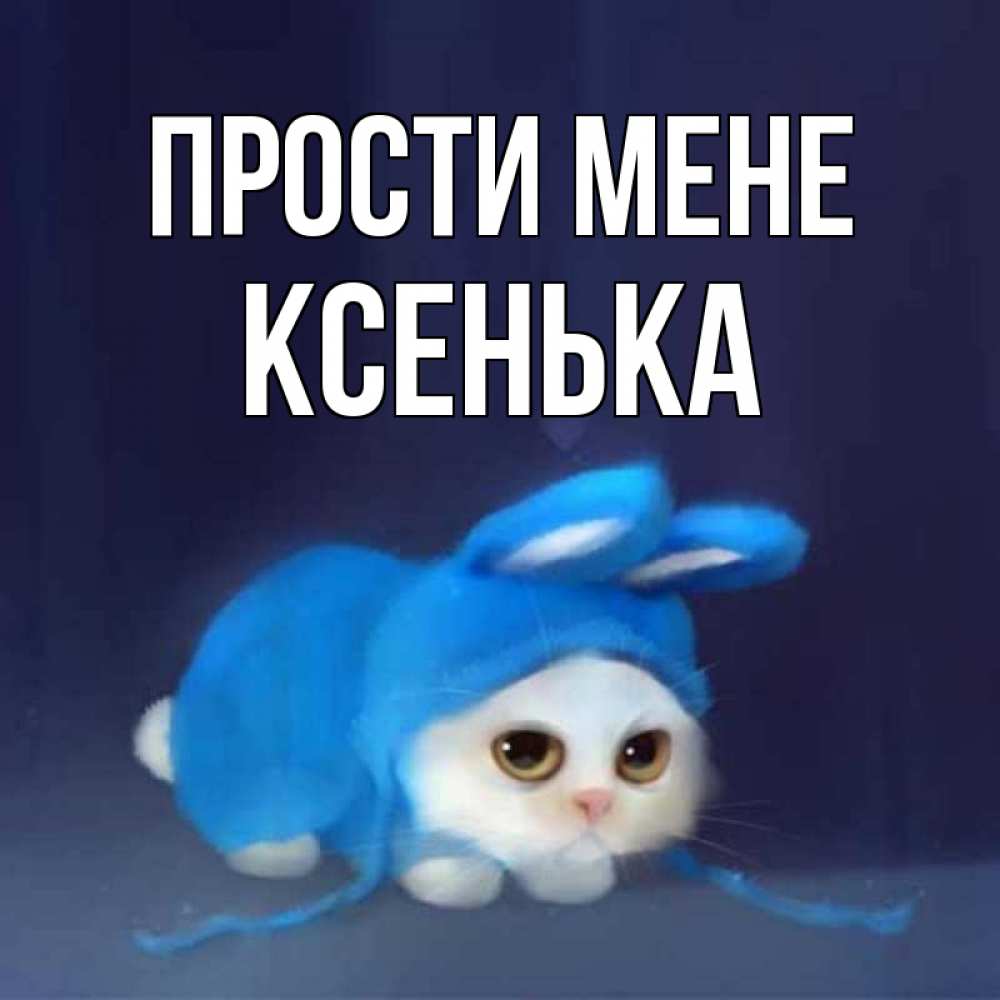 Открытка на каждый день з підписом, Ксенька Прости мене невинный котозай просит прощения Прикольна листівка з побажанням онлайн скачати безкоштовно 