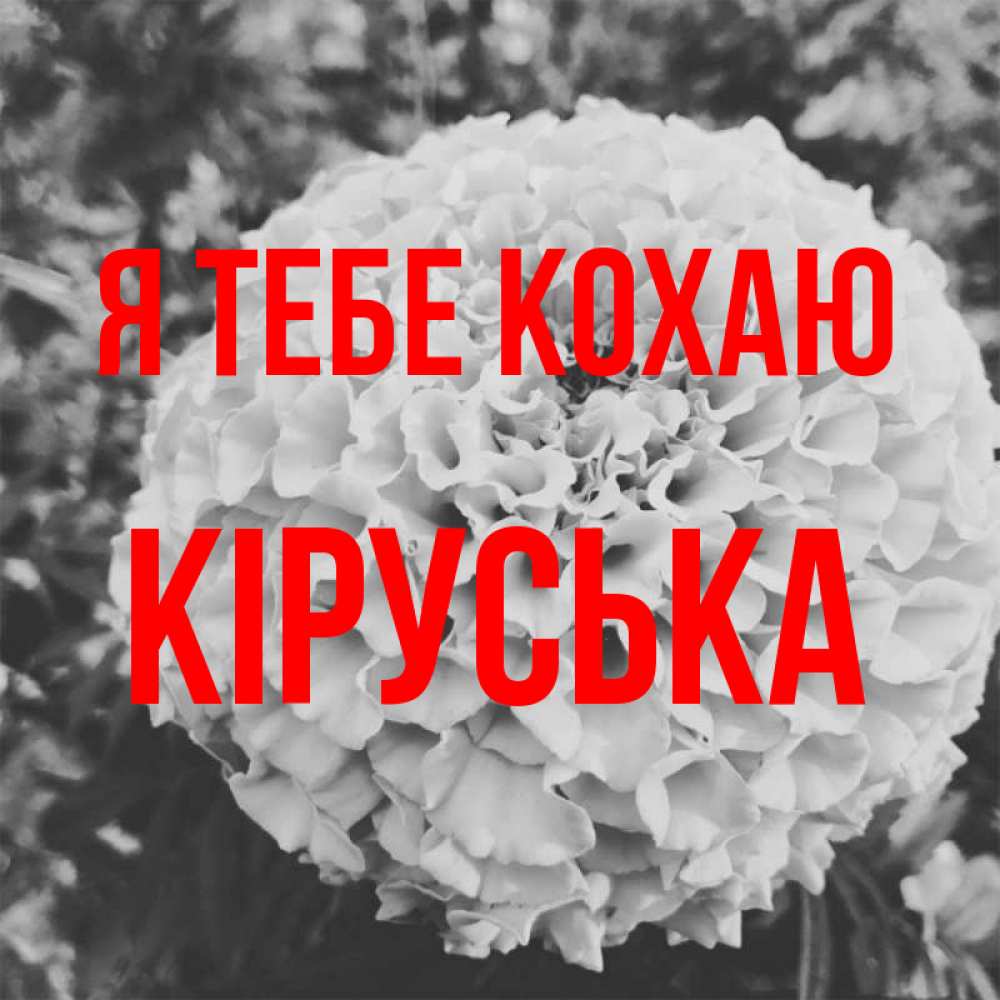 Открытка на каждый день з підписом, Кіруська Я тебе кохаю подпись Прикольна листівка з побажанням онлайн скачати безкоштовно 
