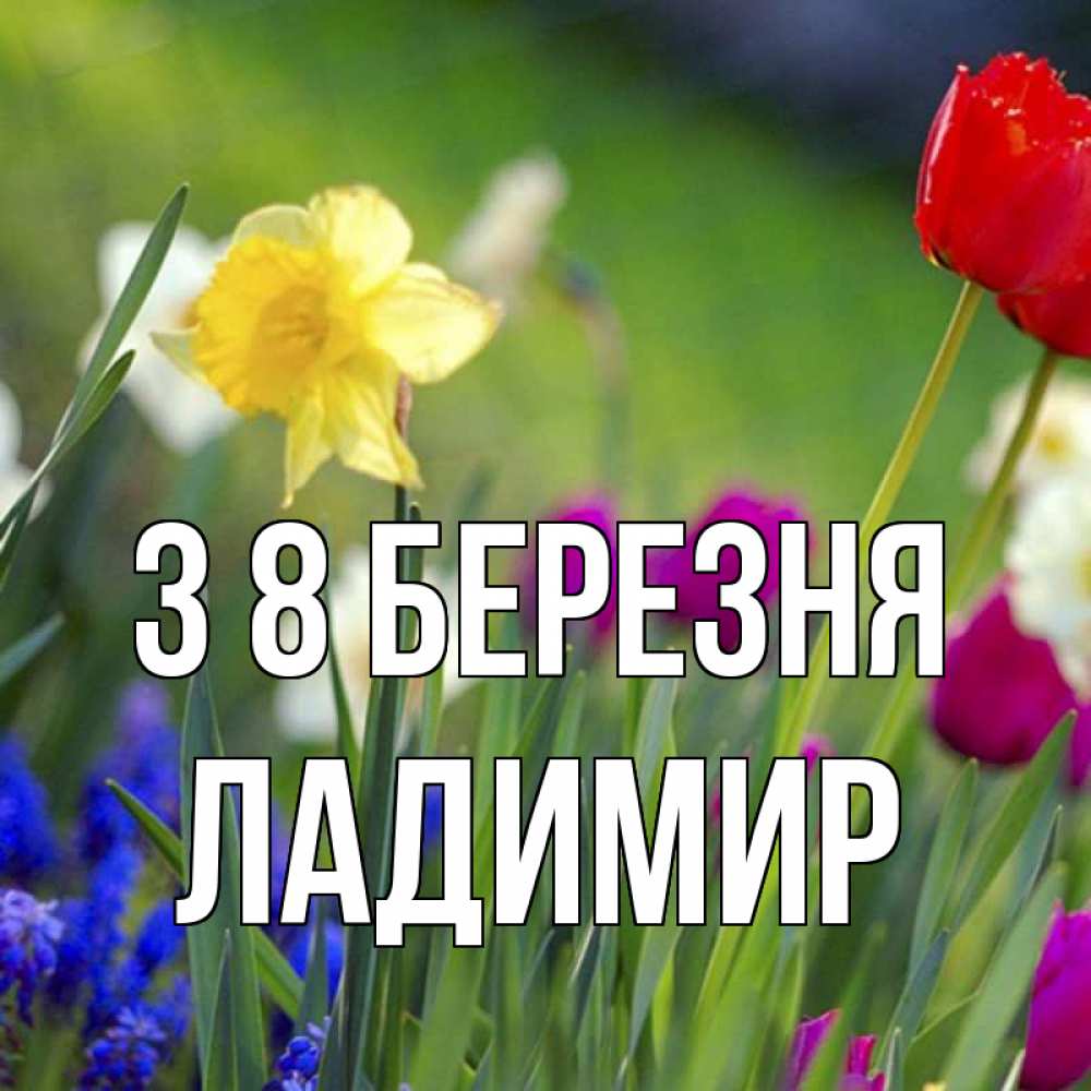 Открытка на каждый день з підписом, Ладимир З 8 БЕРЕЗНЯ международный женский день 3 Прикольна листівка з побажанням онлайн скачати безкоштовно 