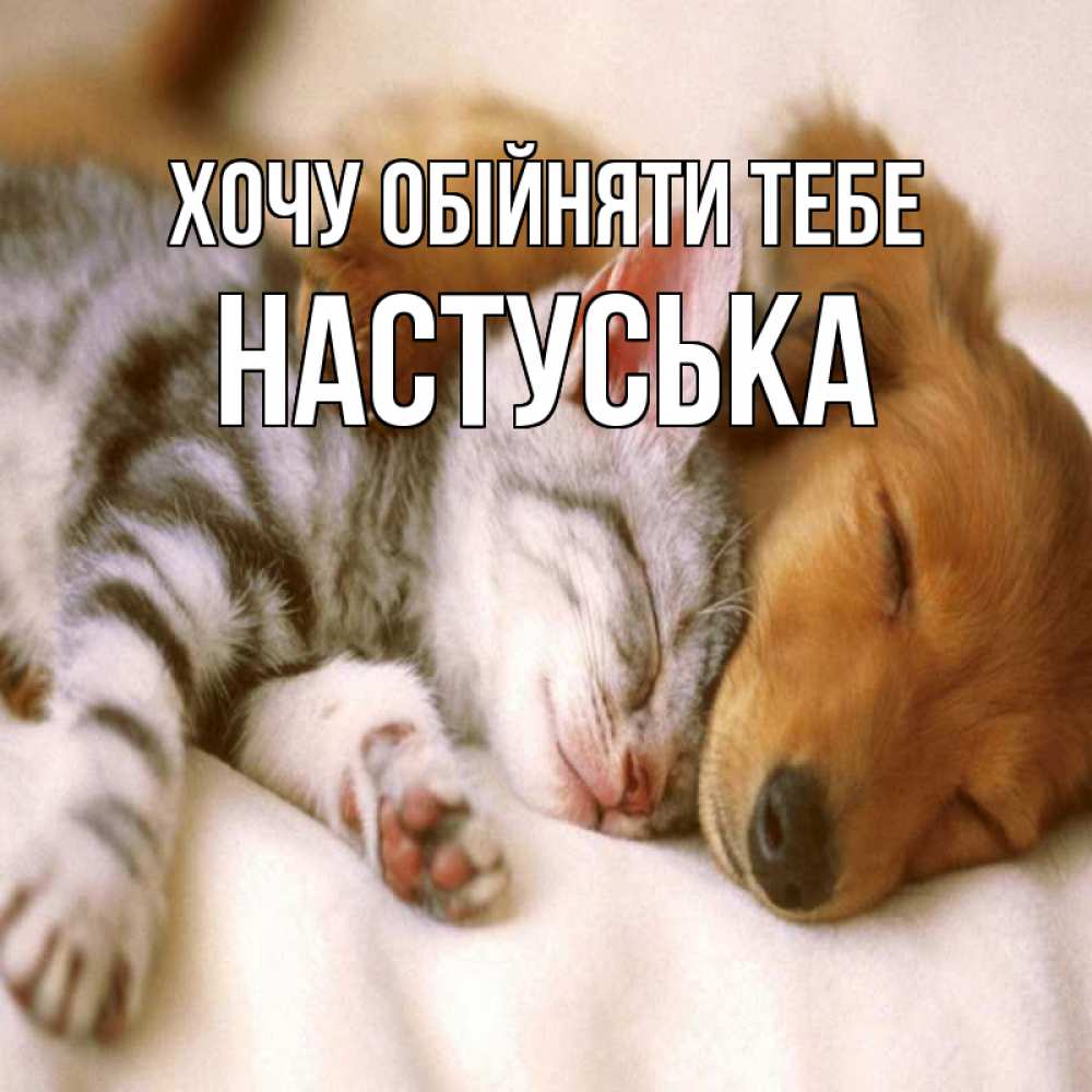 Открытка на каждый день з підписом, Настуська Хочу обійняти тебе пес и котенок Прикольна листівка з побажанням онлайн скачати безкоштовно 