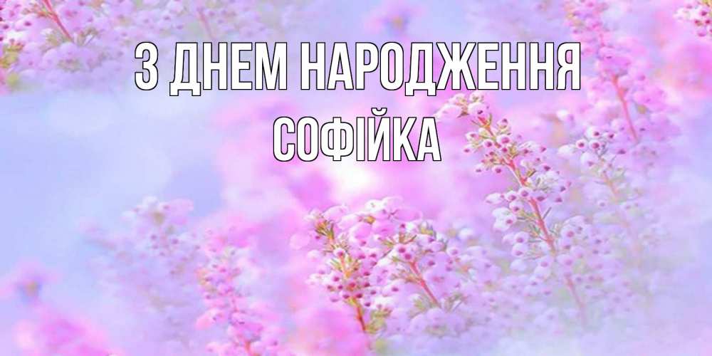 Открытка на каждый день з підписом, Софійка З Днем народження красивая открытка с мелкими цветами Прикольна листівка з побажанням онлайн скачати безкоштовно 