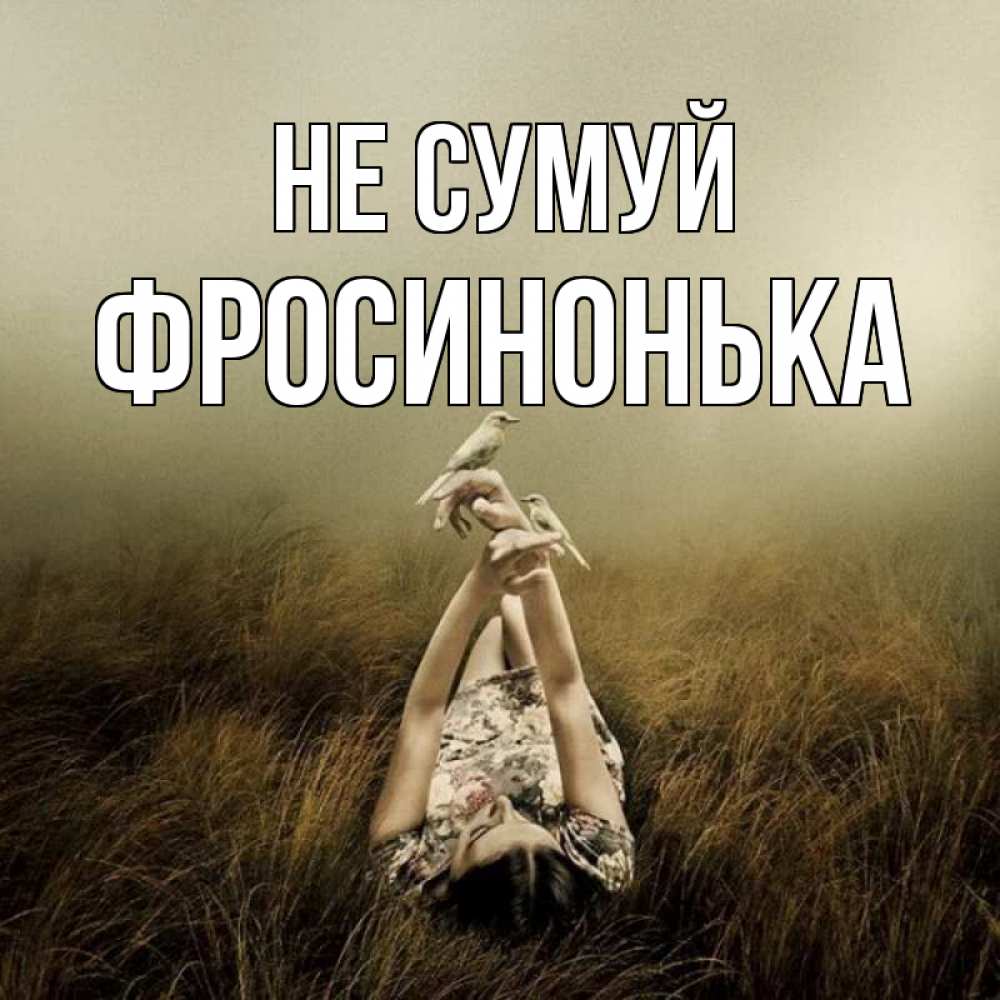 Открытка на каждый день з підписом, Фросинонька Не сумуй поле и туман Прикольна листівка з побажанням онлайн скачати безкоштовно 