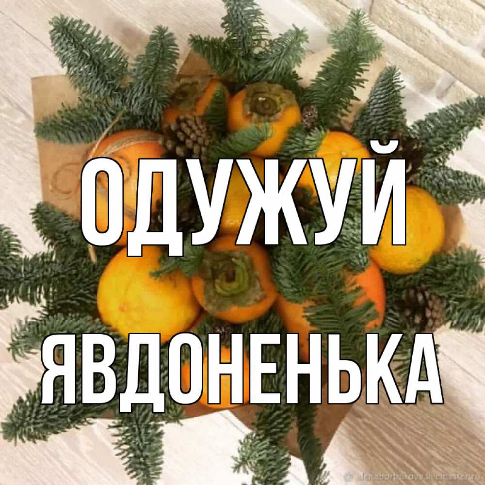 Открытка на каждый день з підписом, Явдоненька Одужуй апельсины и хурьма Прикольна листівка з побажанням онлайн скачати безкоштовно 