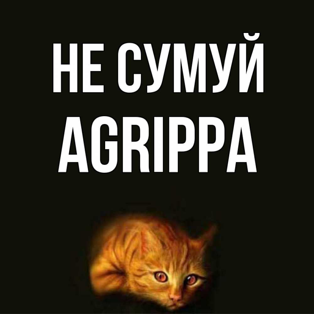 Открытка на каждый день з підписом, Agrippa Не сумуй лежащий кот в темноте Прикольна листівка з побажанням онлайн скачати безкоштовно 
