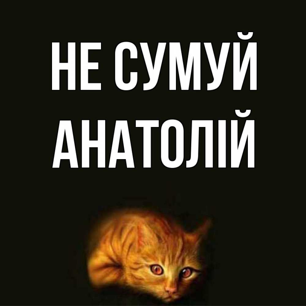 Открытка на каждый день з підписом, Анатолій Не сумуй лежащий кот в темноте Прикольна листівка з побажанням онлайн скачати безкоштовно 