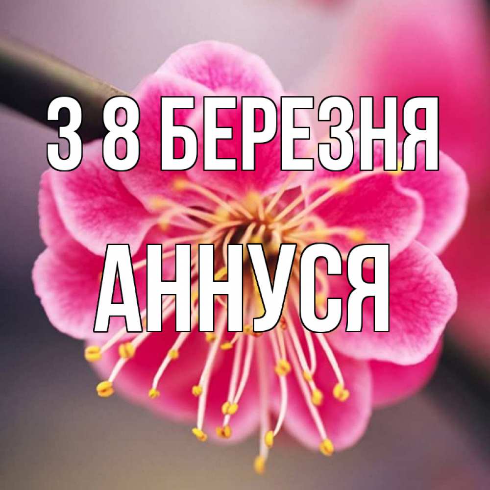 Открытка на каждый день з підписом, Аннуся З 8 БЕРЕЗНЯ цветы Прикольна листівка з побажанням онлайн скачати безкоштовно 