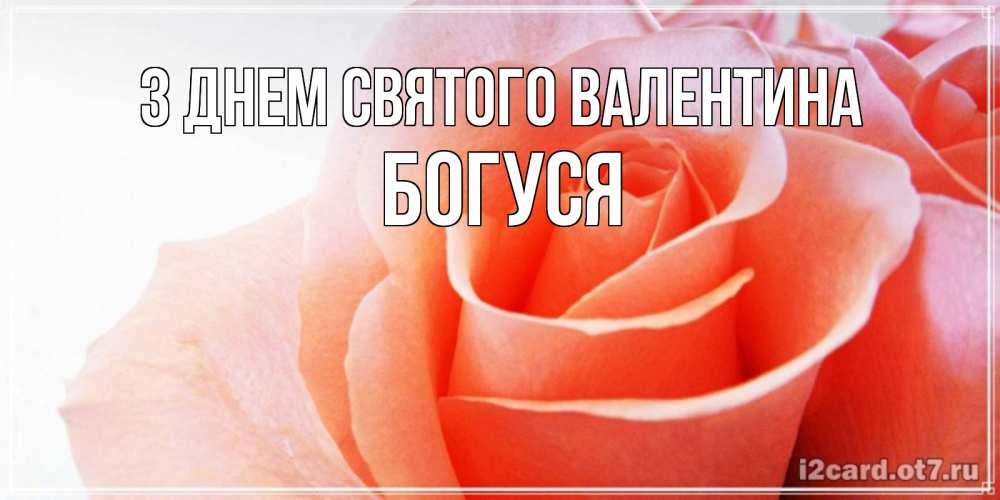 Открытка на каждый день з підписом, Богуся З Днем Святого Валентина открытка на день Святого Валентина с розовой розой Прикольна листівка з побажанням онлайн скачати безкоштовно 