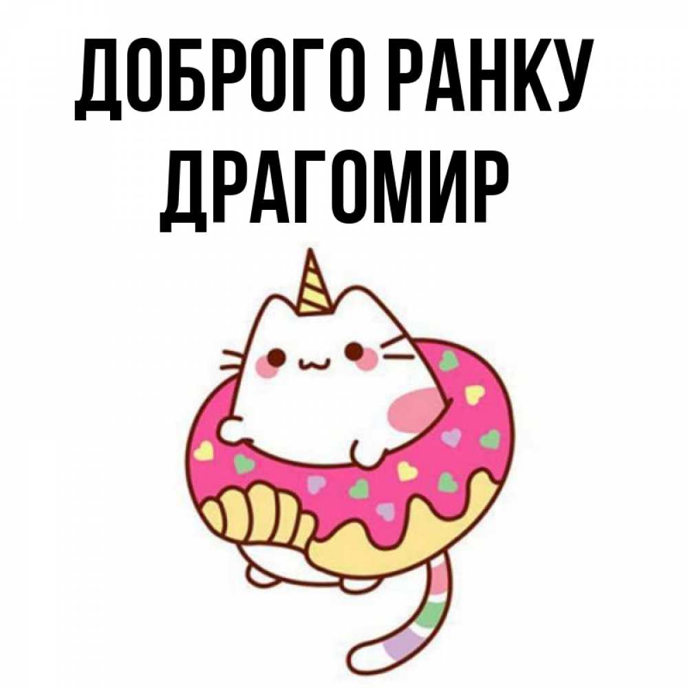 Открытка на каждый день з підписом, Драгомир Доброго ранку кот в бублике Прикольна листівка з побажанням онлайн скачати безкоштовно 