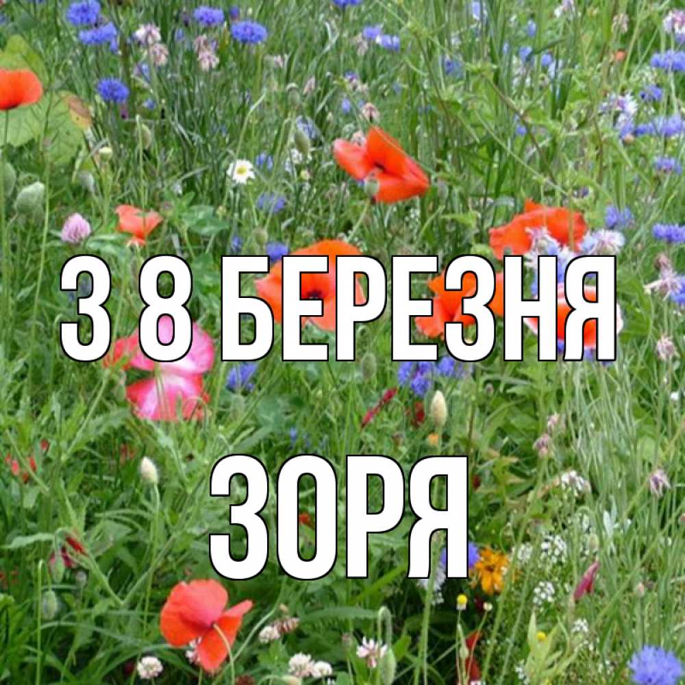 Открытка на каждый день з підписом, Зоря З 8 БЕРЕЗНЯ международный женский день 4 Прикольна листівка з побажанням онлайн скачати безкоштовно 