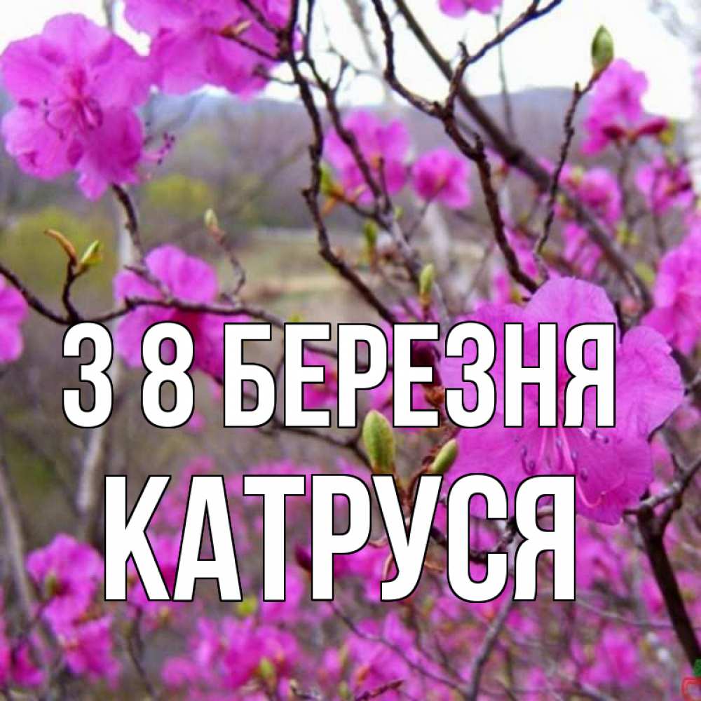 Открытка на каждый день з підписом, Катруся З 8 БЕРЕЗНЯ международный женский день Прикольна листівка з побажанням онлайн скачати безкоштовно 