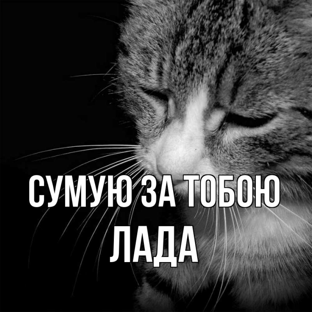 Открытка на каждый день з підписом, Лада Сумую за тобою мне скучно Прикольна листівка з побажанням онлайн скачати безкоштовно 