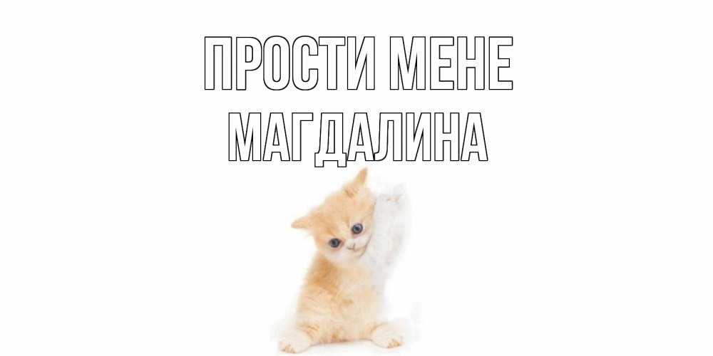 Открытка на каждый день з підписом, Магдалина Прости мене кот Прикольна листівка з побажанням онлайн скачати безкоштовно 