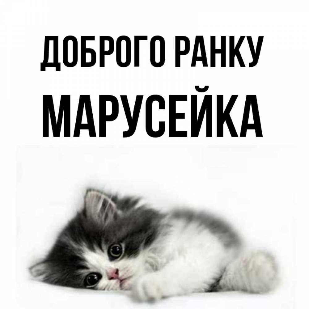 Открытка на каждый день з підписом, Марусейка Доброго ранку кот лапки Прикольна листівка з побажанням онлайн скачати безкоштовно 
