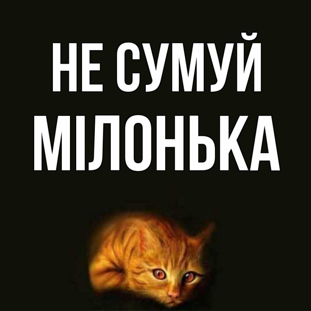 Открытка на каждый день з підписом, Мілонька Не сумуй лежащий кот в темноте Прикольна листівка з побажанням онлайн скачати безкоштовно 