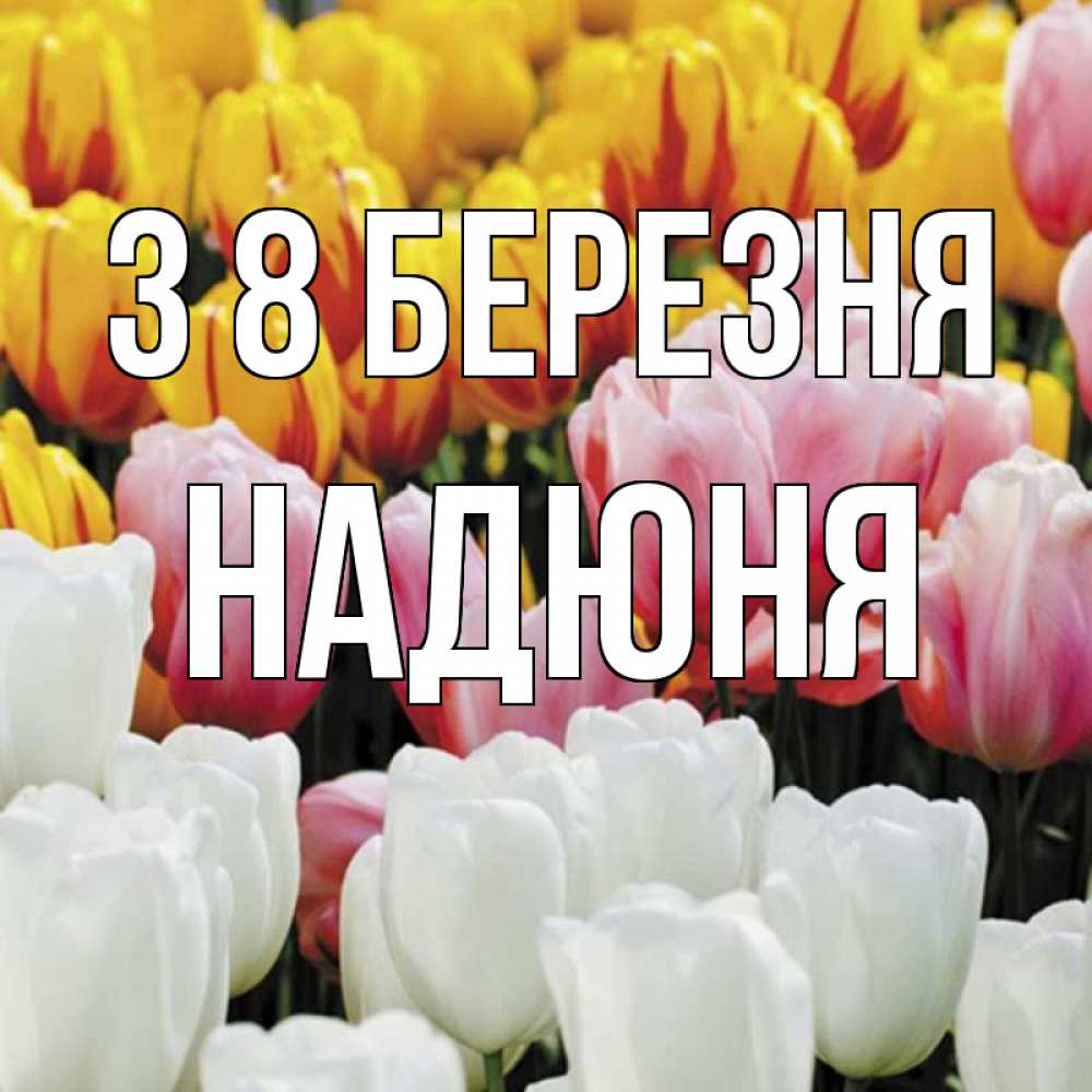 Открытка на каждый день з підписом, Надюня З 8 БЕРЕЗНЯ разноцветные цветы Прикольна листівка з побажанням онлайн скачати безкоштовно 