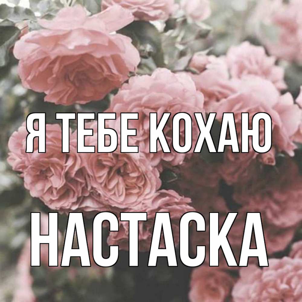Открытка на каждый день з підписом, Настаска Я тебе кохаю розы 3 Прикольна листівка з побажанням онлайн скачати безкоштовно 