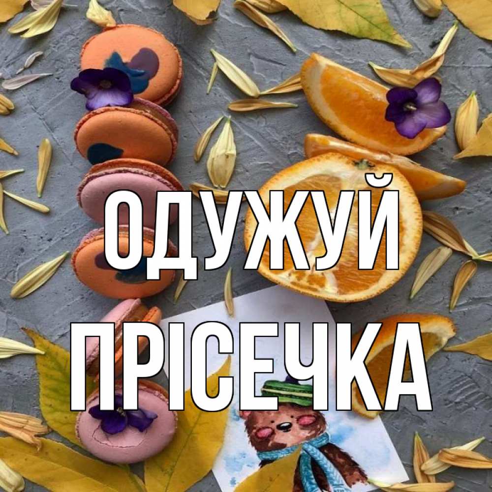 Открытка на каждый день з підписом, Прісечка Одужуй не болейте Прикольна листівка з побажанням онлайн скачати безкоштовно 