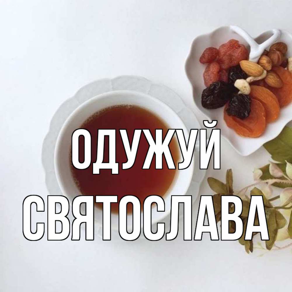 Открытка на каждый день з підписом, Святослава Одужуй неизвестные растения Прикольна листівка з побажанням онлайн скачати безкоштовно 