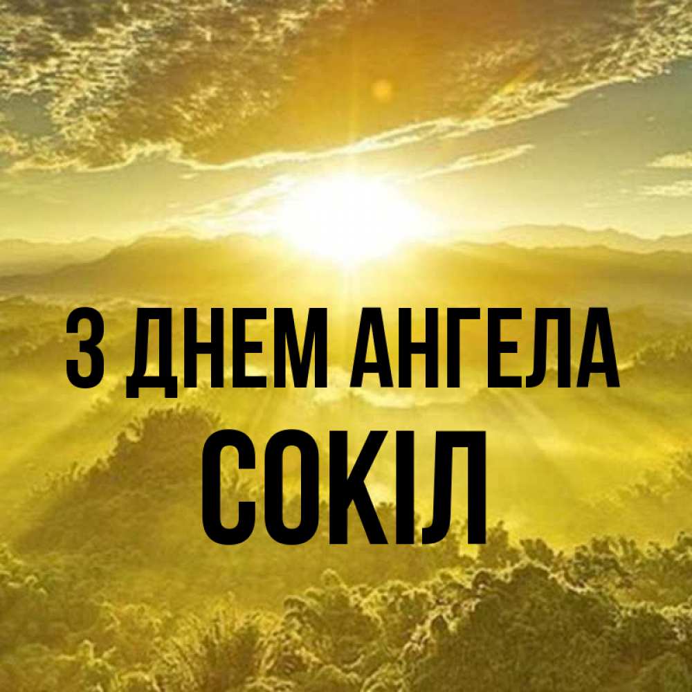 Открытка на каждый день з підписом, Сокіл З Днем ангела леса и небо в желтом Прикольна листівка з побажанням онлайн скачати безкоштовно 