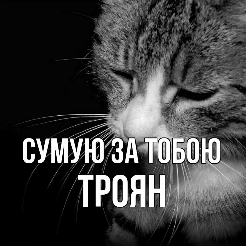 Открытка на каждый день з підписом, Троян Сумую за тобою мне скучно Прикольна листівка з побажанням онлайн скачати безкоштовно 