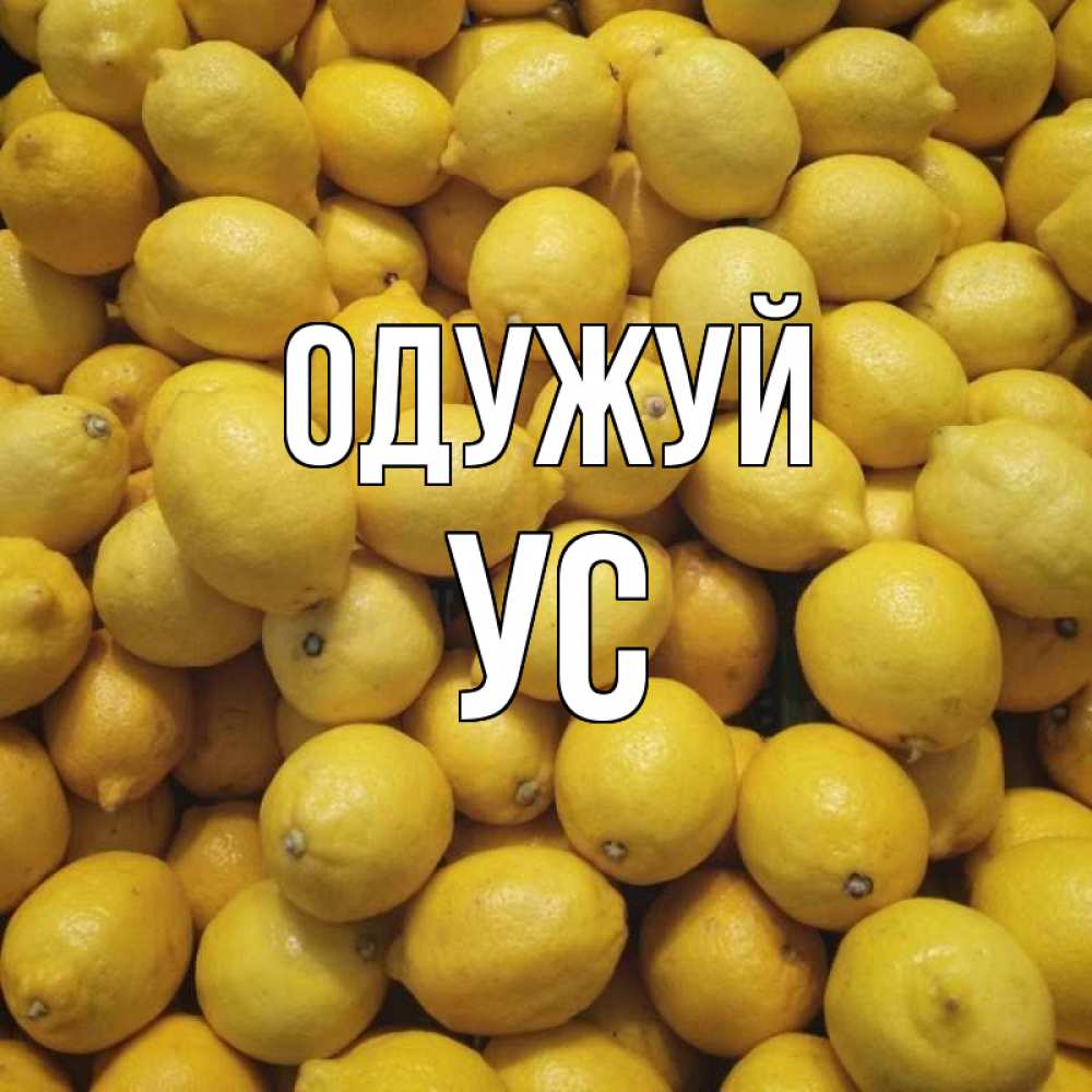 Открытка на каждый день з підписом, Ус Одужуй это точно поможет Прикольна листівка з побажанням онлайн скачати безкоштовно 