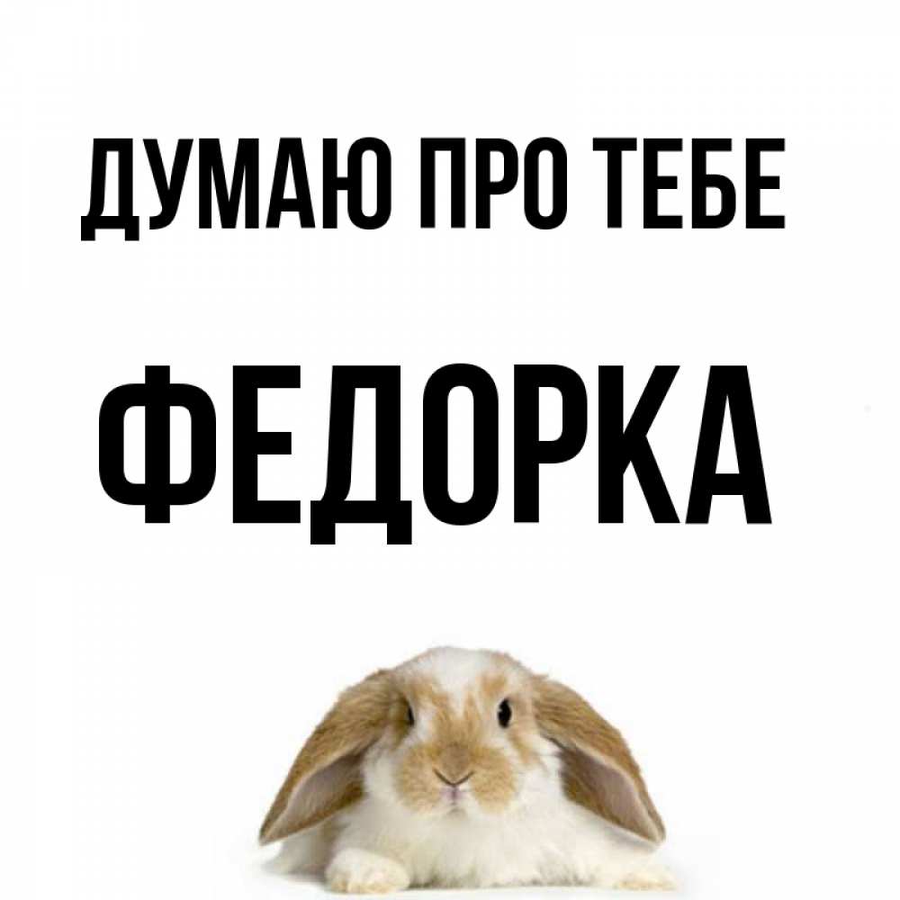 Открытка на каждый день з підписом, Федорка Думаю про тебе подписать своими руками онлайн Прикольна листівка з побажанням онлайн скачати безкоштовно 