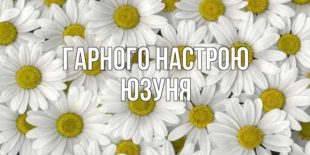 Открытка на каждый день з підписом, Юзуня Гарного настрою поляна ромашек Прикольна листівка з побажанням онлайн скачати безкоштовно 