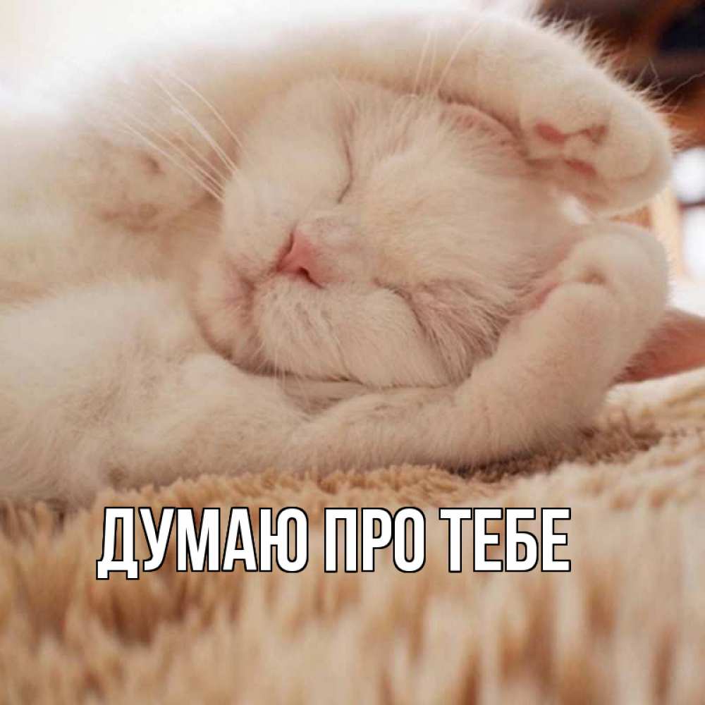 Открытка на каждый день з підписом, выберите-имя Думаю про тебе для любимой девушки милота Прикольна листівка з побажанням онлайн скачати безкоштовно 
