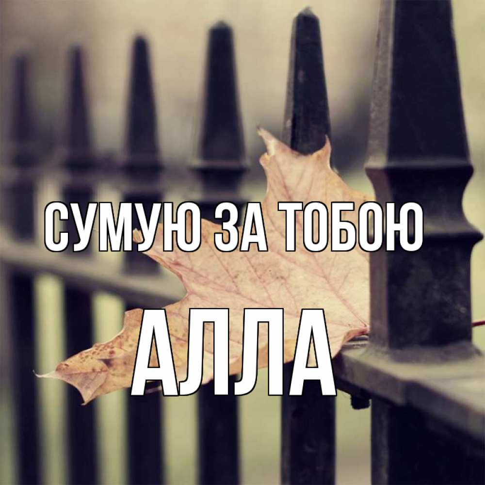 Открытка на каждый день з підписом, Алла Сумую за тобою очень скучно Прикольна листівка з побажанням онлайн скачати безкоштовно 