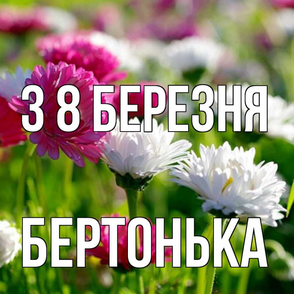 Открытка на каждый день з підписом, Бертонька З 8 БЕРЕЗНЯ международный женский день 1 Прикольна листівка з побажанням онлайн скачати безкоштовно 