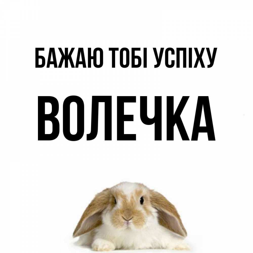 Открытка на каждый день з підписом, Волечка Бажаю тобі успіху открытки с произвольным текстом который можно вставить в открытку и создать ее самостоятельно бесплатно онлайн Прикольна листівка з побажанням онлайн скачати безкоштовно 