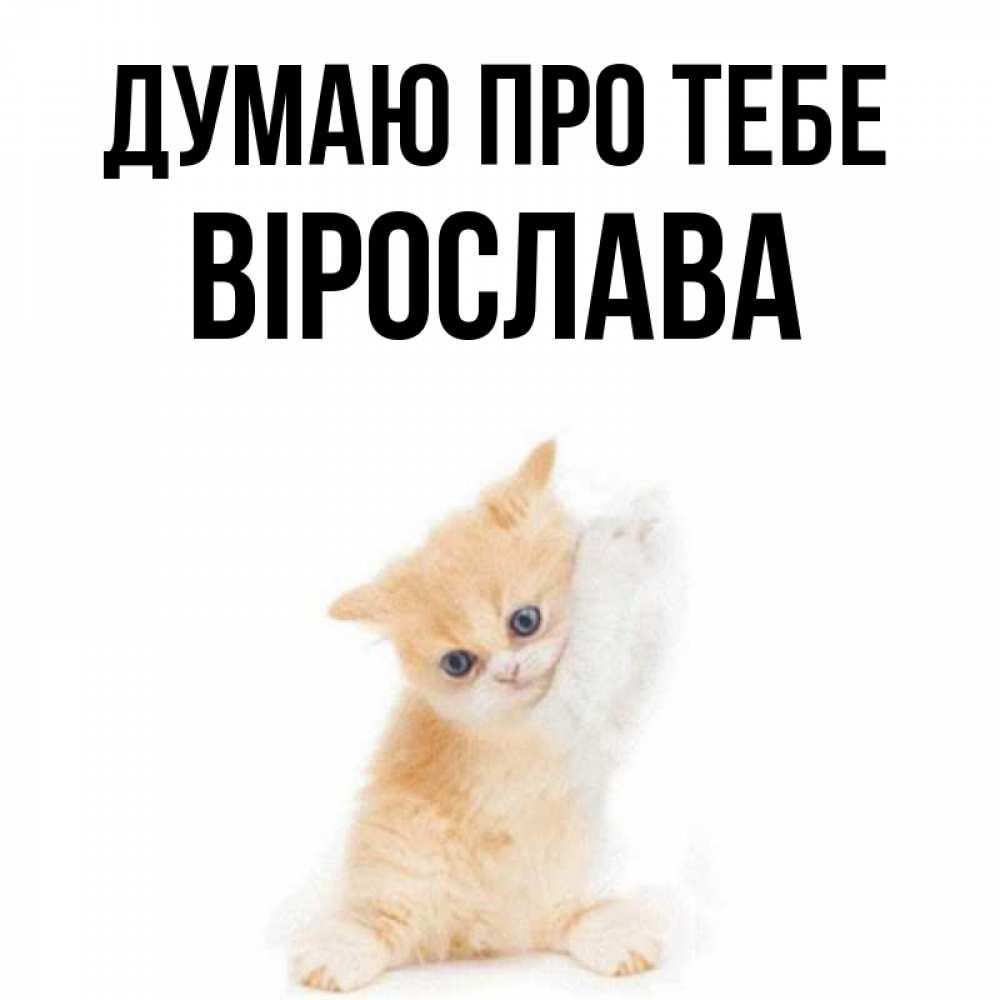 Открытка на каждый день з підписом, Вірослава Думаю про тебе зверушки и милота Прикольна листівка з побажанням онлайн скачати безкоштовно 
