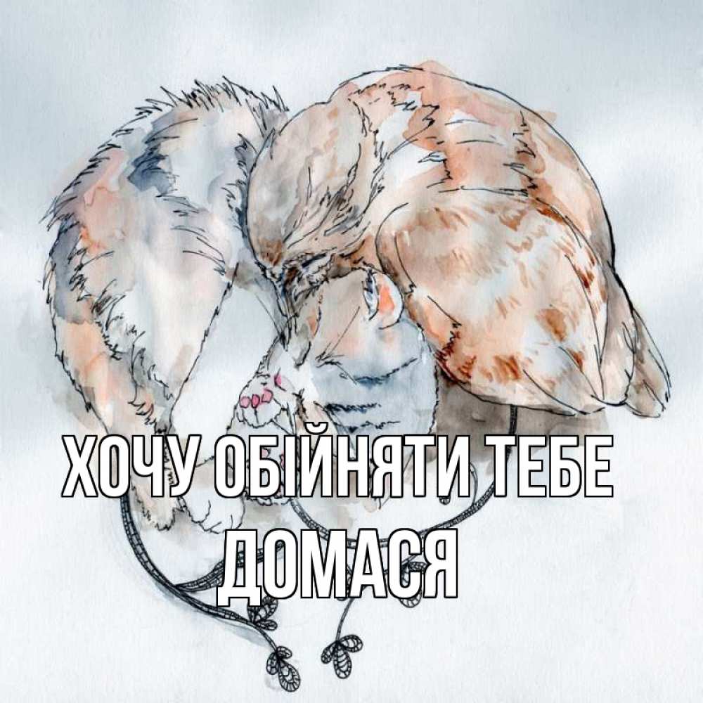 Открытка на каждый день з підписом, Домася Хочу обійняти тебе можно быть вместе даже когда очень разные Прикольна листівка з побажанням онлайн скачати безкоштовно 