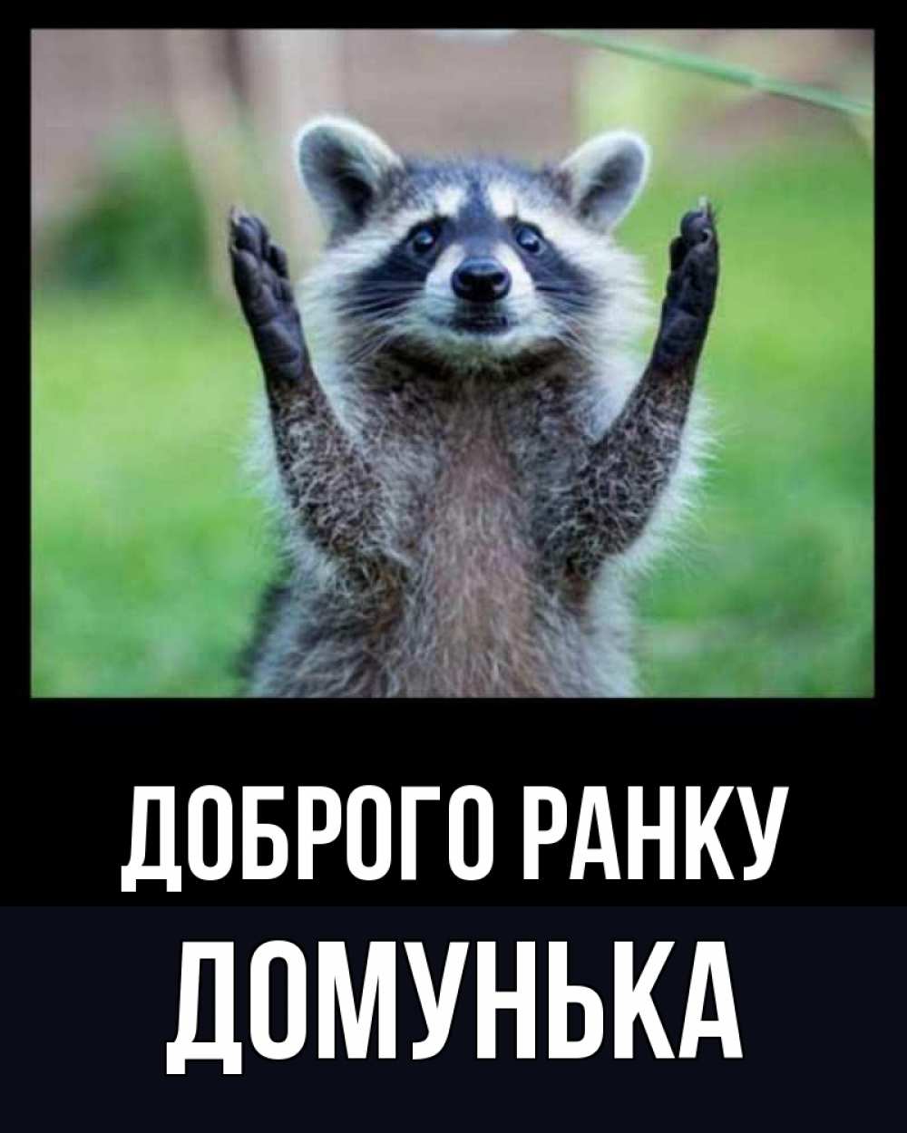 Открытка на каждый день з підписом, Домунька Доброго ранку хорошее настроение утречком Прикольна листівка з побажанням онлайн скачати безкоштовно 