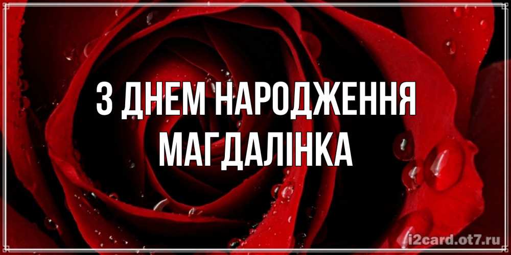 Открытка на каждый день з підписом, Магдалінка З Днем народження крупная бордовая роза Прикольна листівка з побажанням онлайн скачати безкоштовно 