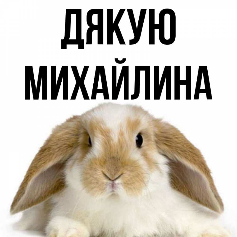 Открытка на каждый день з підписом, Михайлина Дякую коричнево белый заяц Прикольна листівка з побажанням онлайн скачати безкоштовно 