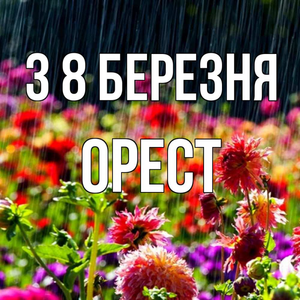 Открытка на каждый день з підписом, Орест З 8 БЕРЕЗНЯ цветы под дождиком к международному женскому дню Прикольна листівка з побажанням онлайн скачати безкоштовно 