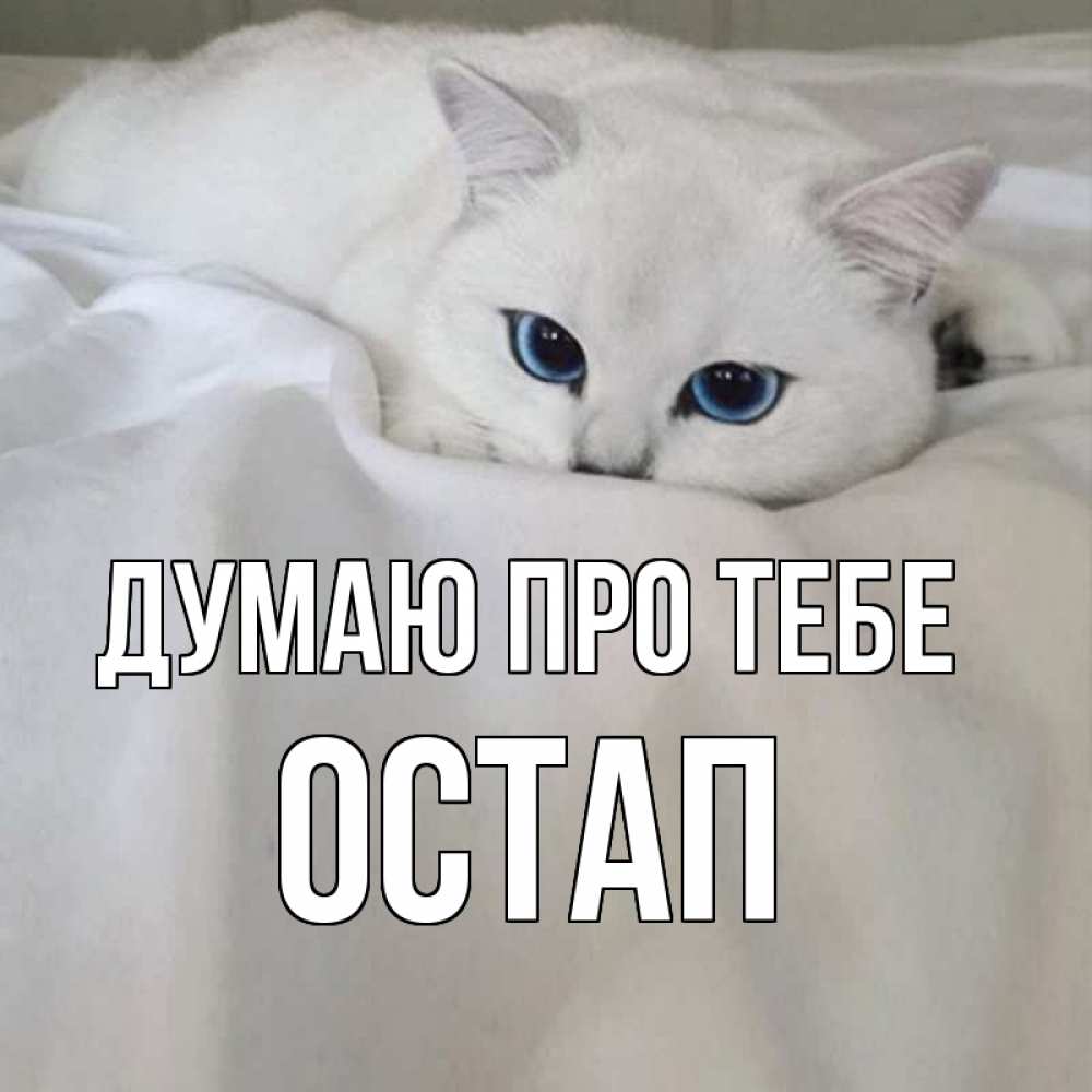 Открытка на каждый день з підписом, Остап Думаю про тебе я очень по тебе скучаю и тоскую Прикольна листівка з побажанням онлайн скачати безкоштовно 