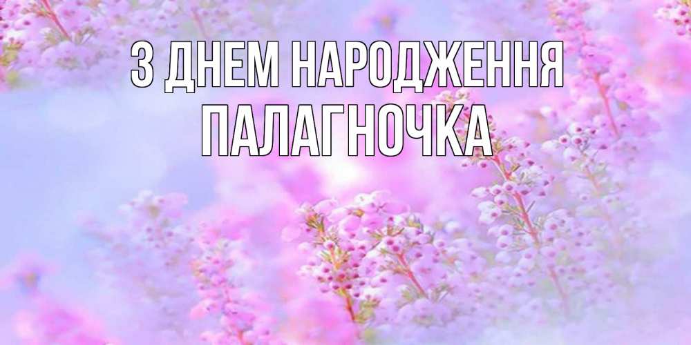 Открытка на каждый день з підписом, Палагночка З Днем народження красивая открытка с мелкими цветами Прикольна листівка з побажанням онлайн скачати безкоштовно 