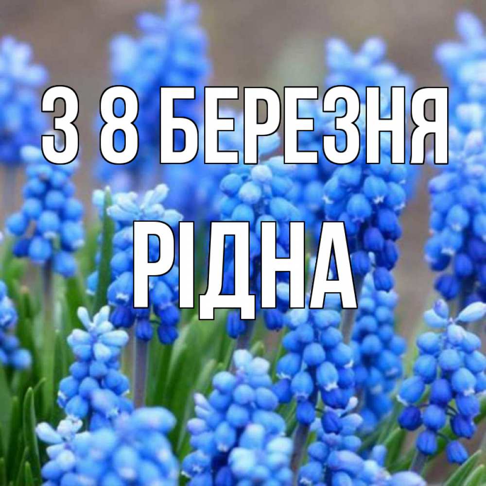 Открытка на каждый день з підписом, Рідна З 8 БЕРЕЗНЯ Поздравительная открытка для женщин с цветами на праздничную дату Прикольна листівка з побажанням онлайн скачати безкоштовно 