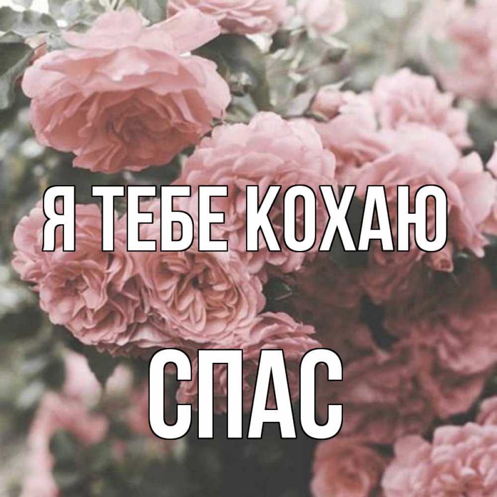 Открытка на каждый день з підписом, Спас Я тебе кохаю розы 3 Прикольна листівка з побажанням онлайн скачати безкоштовно 