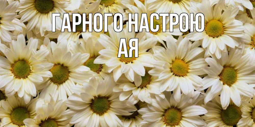 Открытка на каждый день з підписом, Ая Гарного настрою крупные ромашки Прикольна листівка з побажанням онлайн скачати безкоштовно 