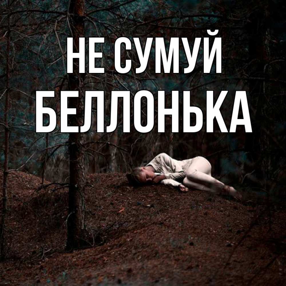 Открытка на каждый день з підписом, Беллонька Не сумуй лес Прикольна листівка з побажанням онлайн скачати безкоштовно 