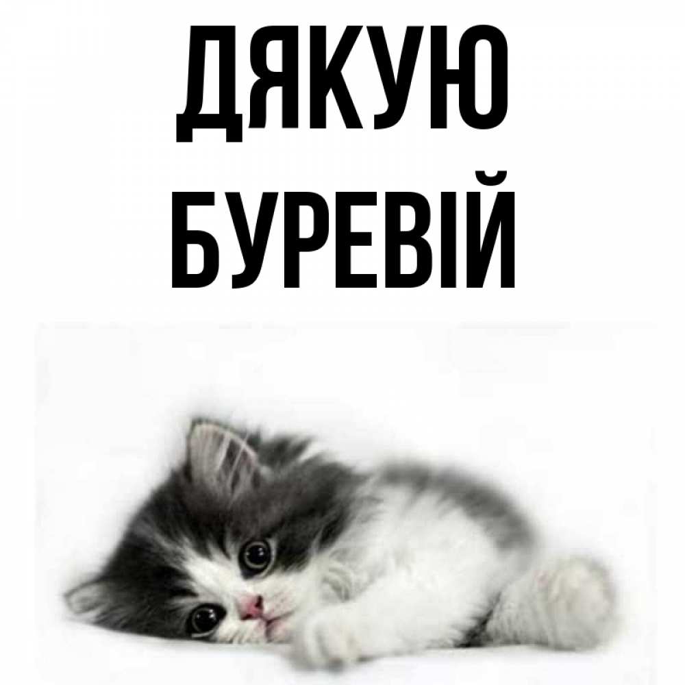 Открытка на каждый день з підписом, Буревій Дякую черный и белый кот Прикольна листівка з побажанням онлайн скачати безкоштовно 