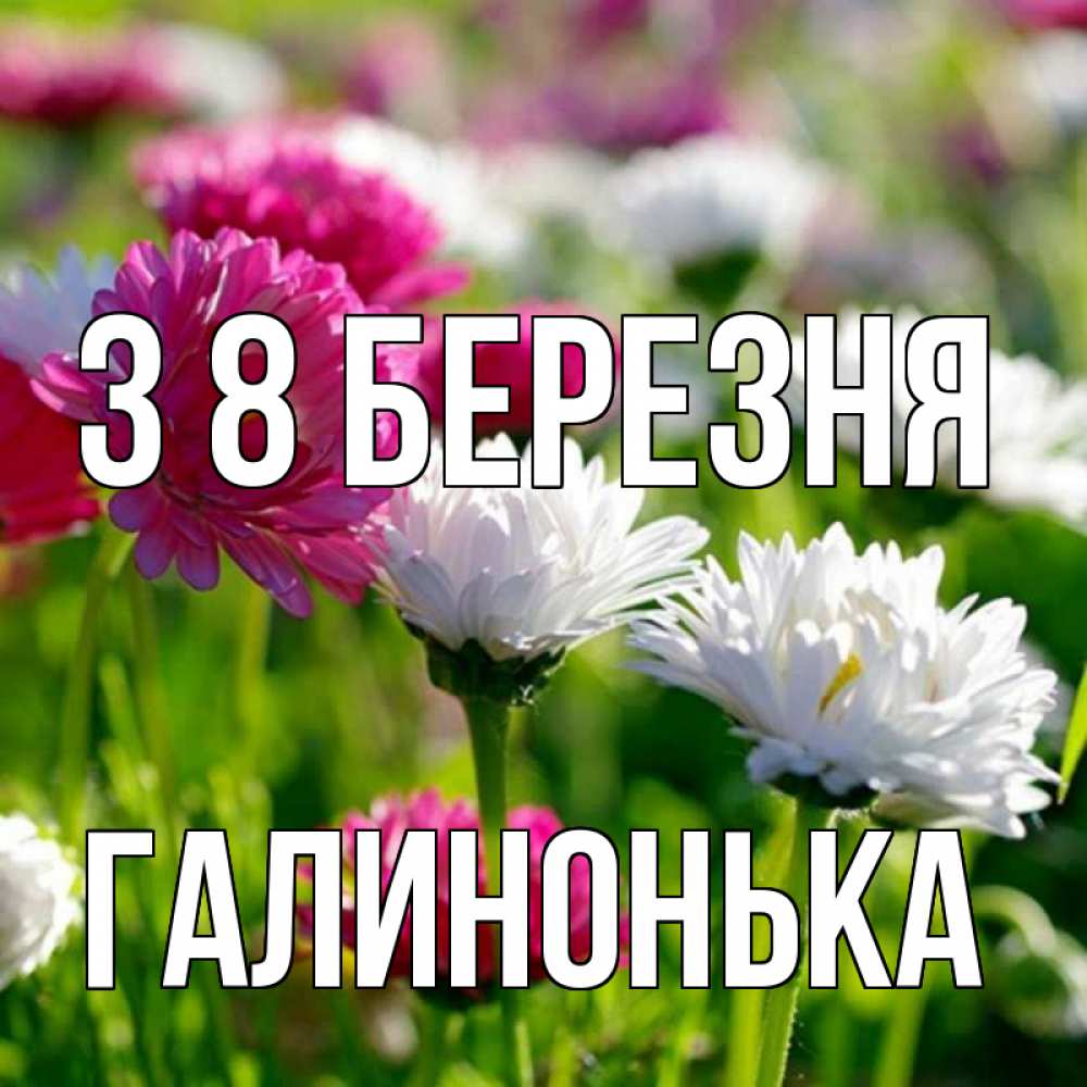 Открытка на каждый день з підписом, Галинонька З 8 БЕРЕЗНЯ международный женский день 1 Прикольна листівка з побажанням онлайн скачати безкоштовно 